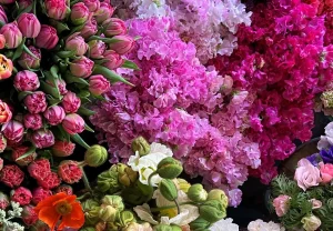 La Flora Del Patron