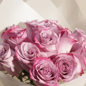 الورد الجوري