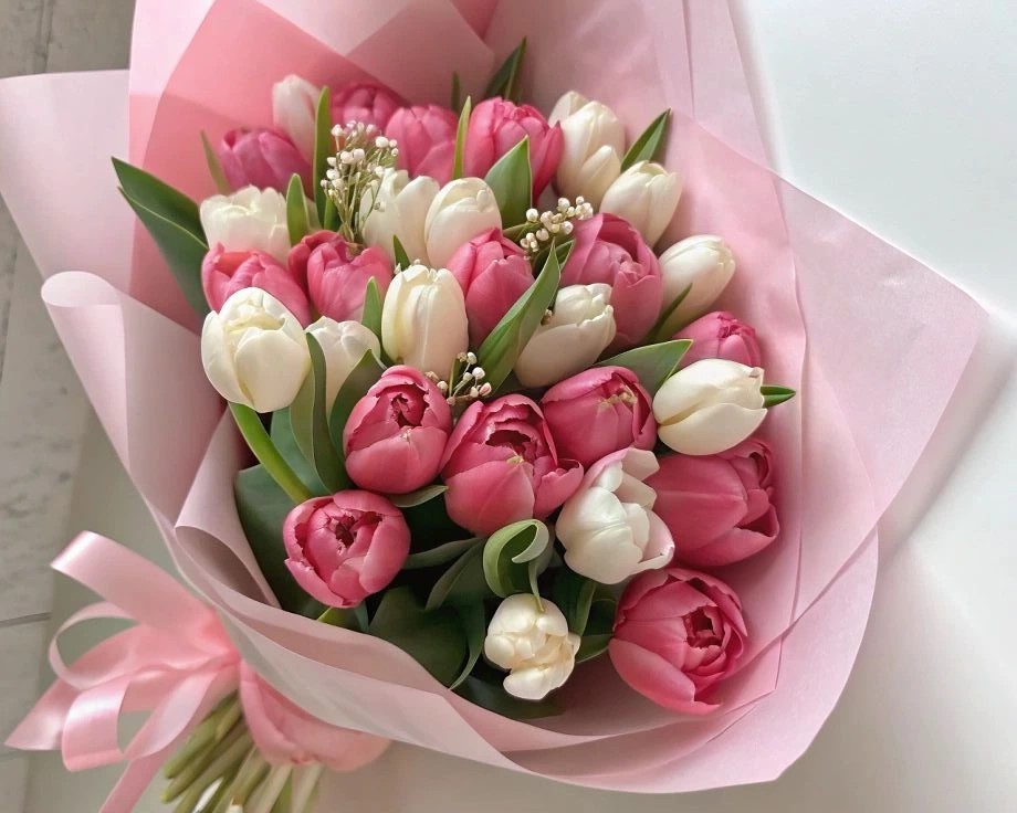 زهرة التوليب