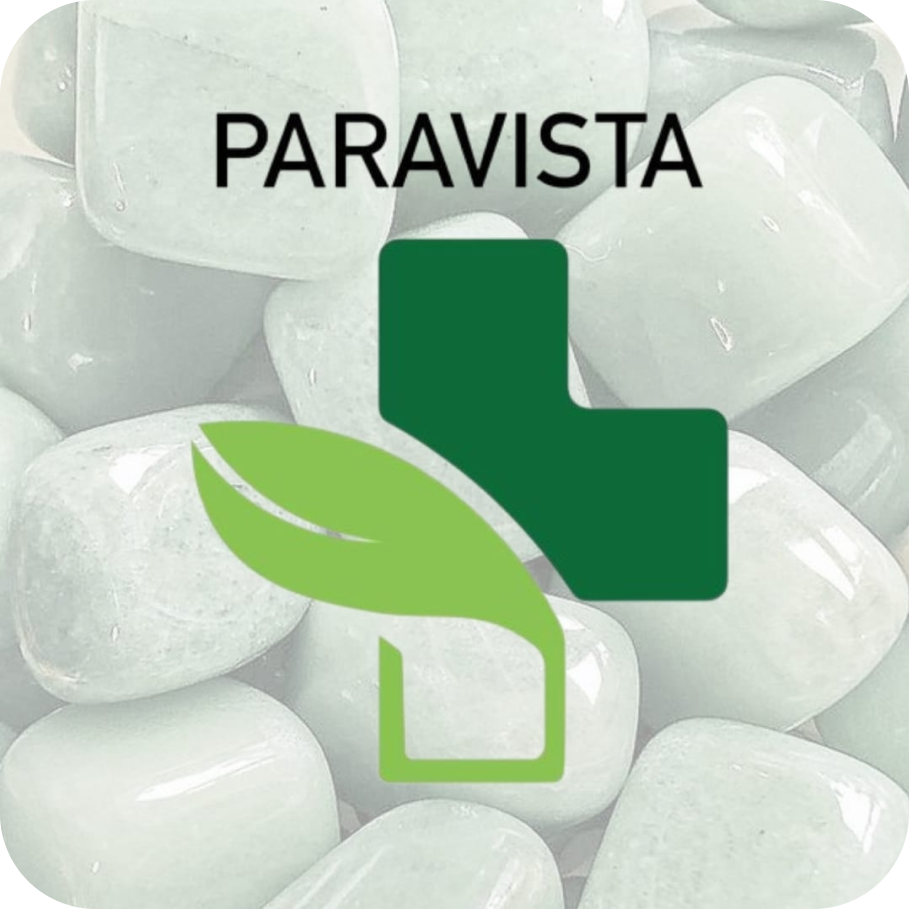 paravista logo