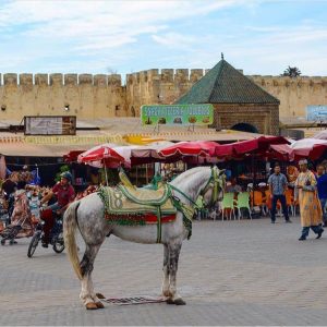 ساحة الهديم